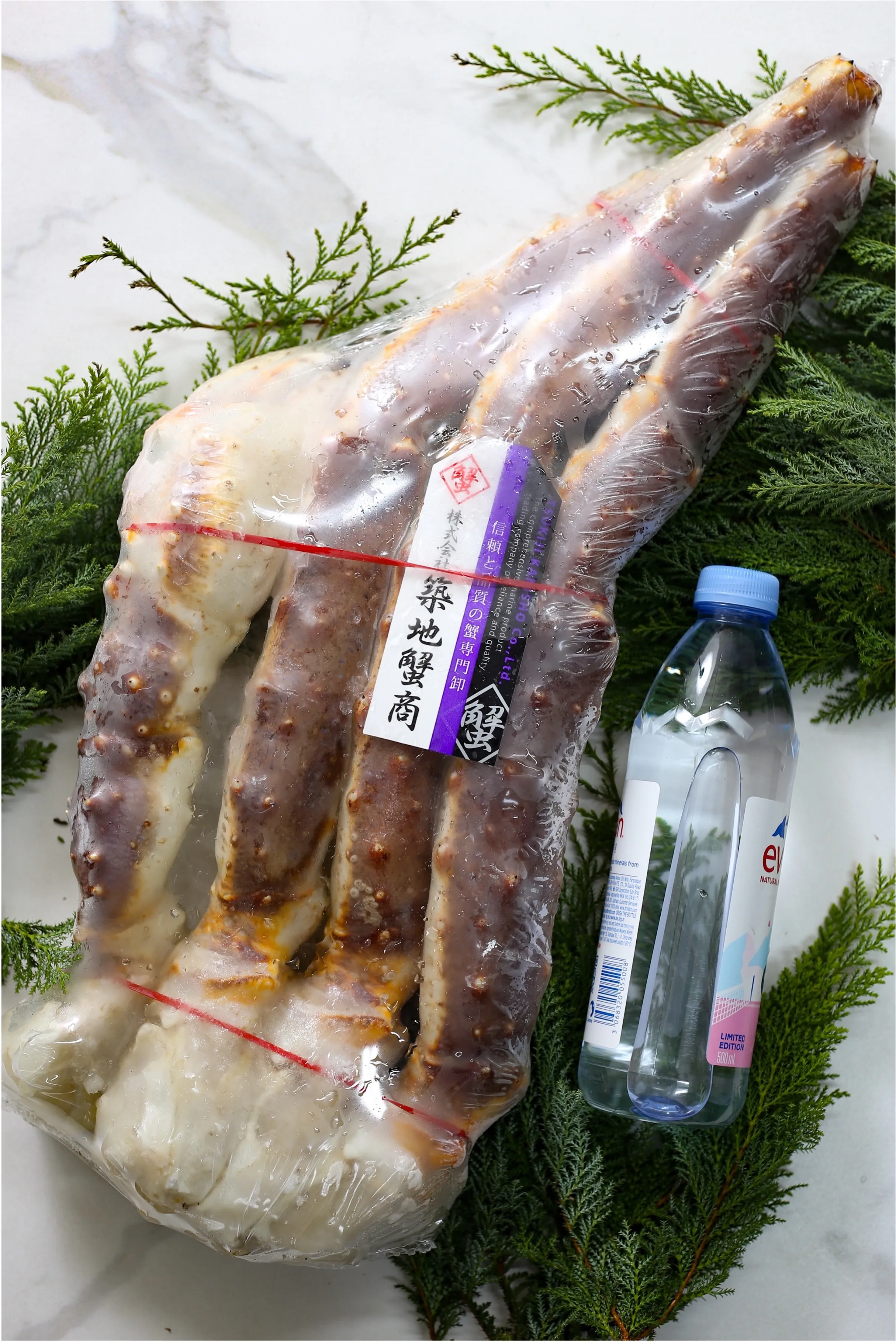 14. King Crab 12L Mega.jpg