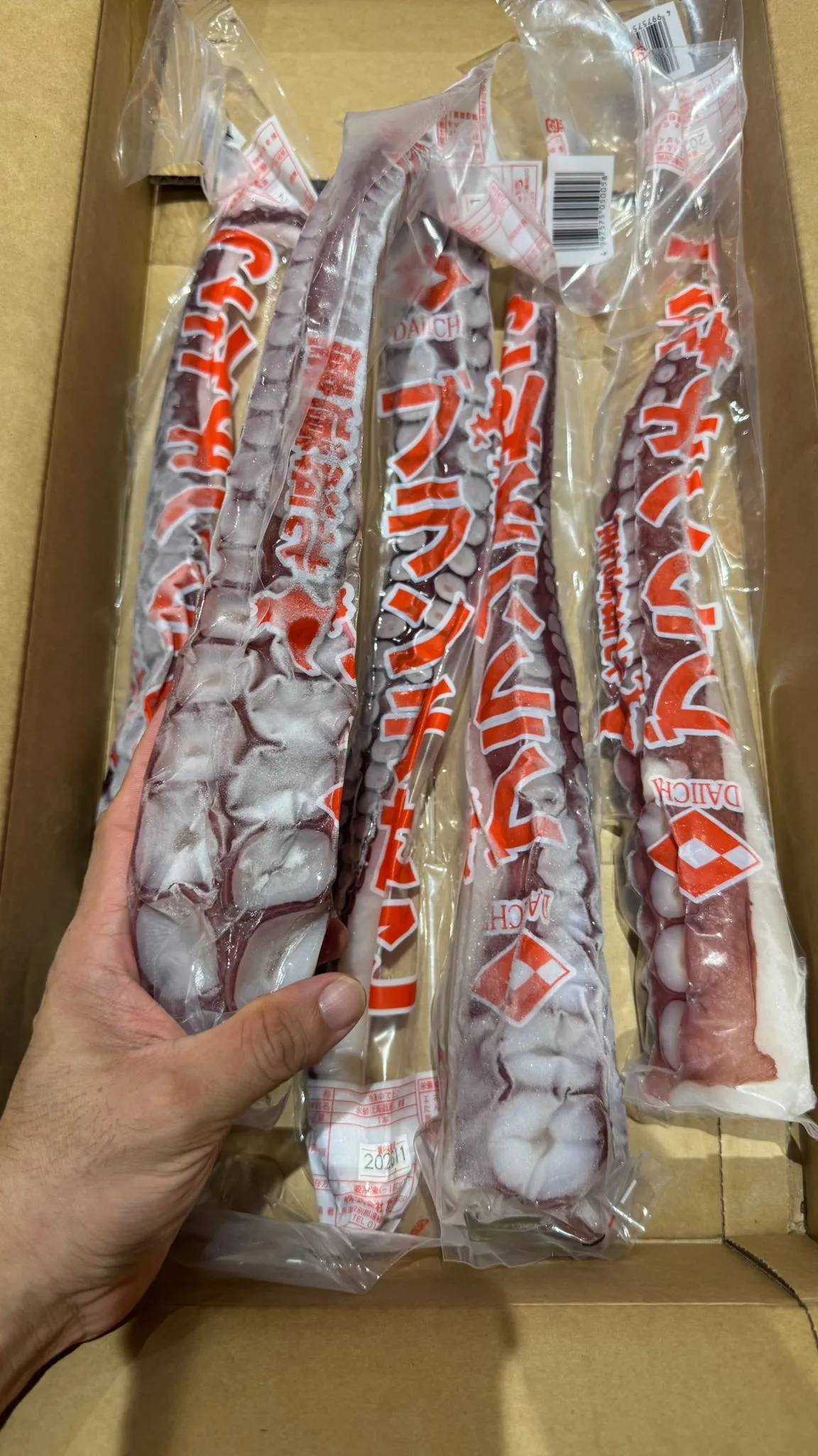 Sashimi Hokkaido Octopus (whole 400g+- tentacle)  北海道章鱼刺身