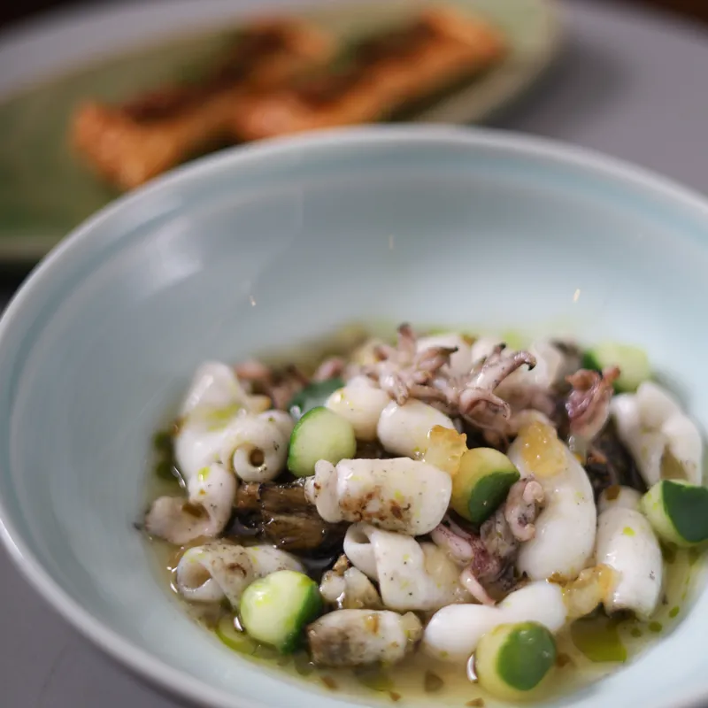 baby-squid