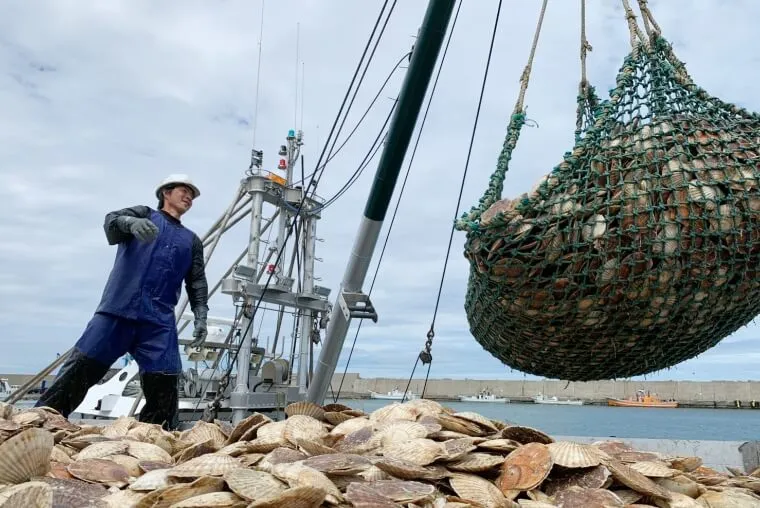 scallop fishing.jpeg
