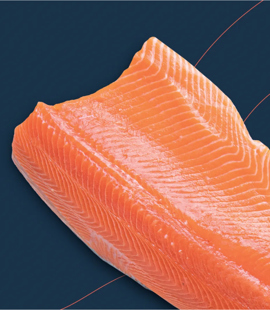 Silverside Salmon.png